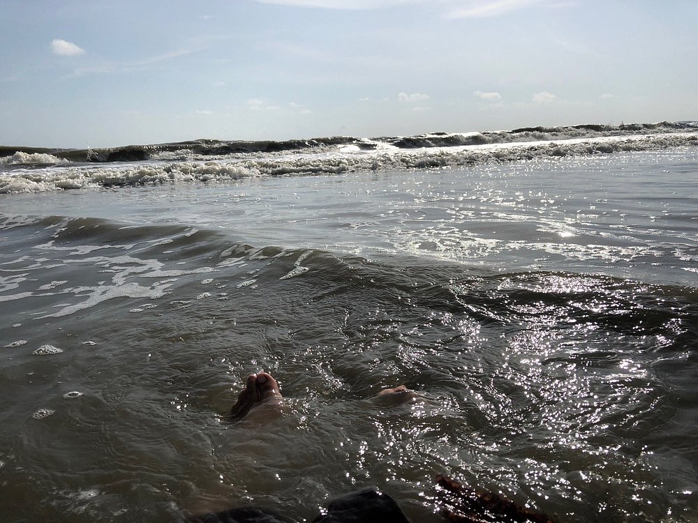 Indigenous Peoples’ Self-Determined Development (IPSDD)